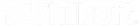 Skillsoft R Logo White 1